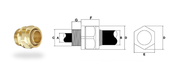 Bw-Cable-Glands